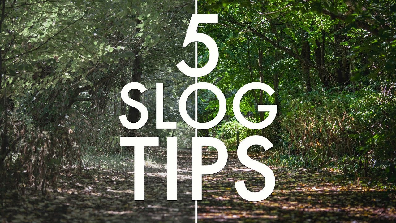 5 SLOG Tips Every Sony Shooter Must Know (SLOG2 & SLOG3)